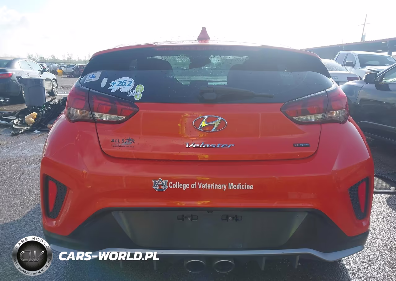 2019 Hyundai Veloster Turbo R-Spec VIN:KMHTH6AB8KU006094 - 16