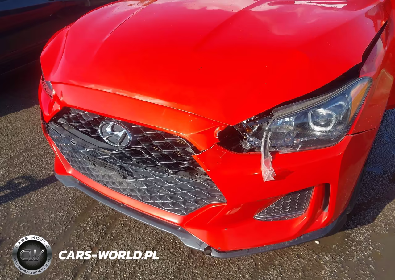 2019 Hyundai Veloster Turbo R-Spec VIN:KMHTH6AB8KU006094 - 6