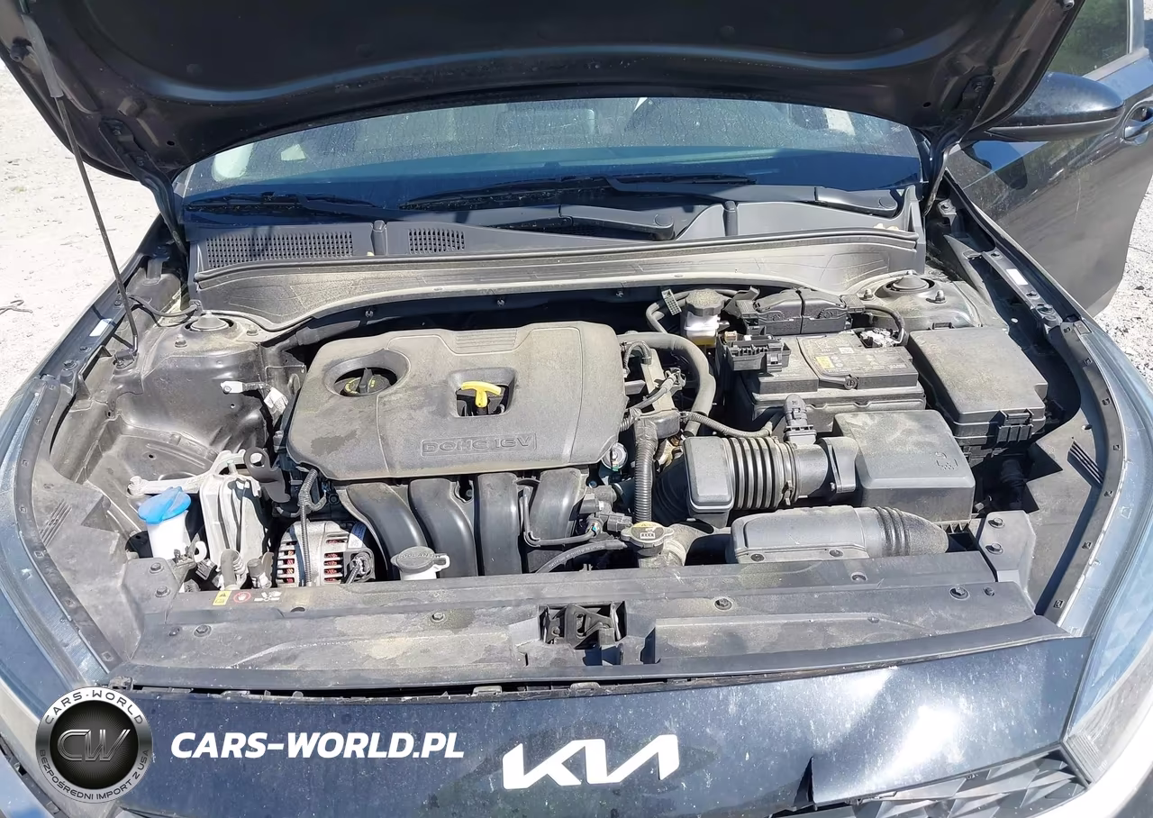 2022 Kia Forte Lxs VIN:3KPF24AD1NE493876 - 10