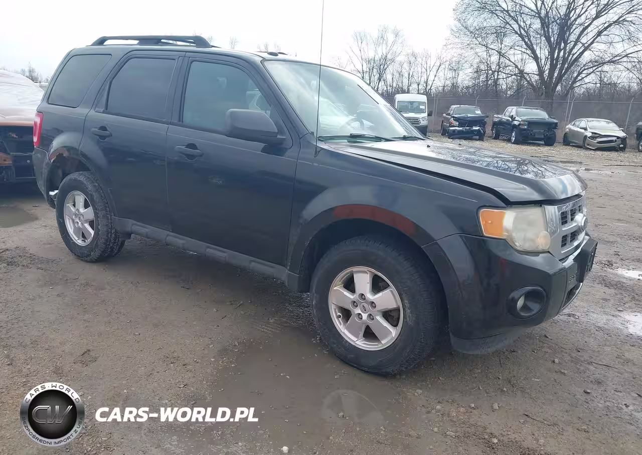 2011 Ford Escape Xlt