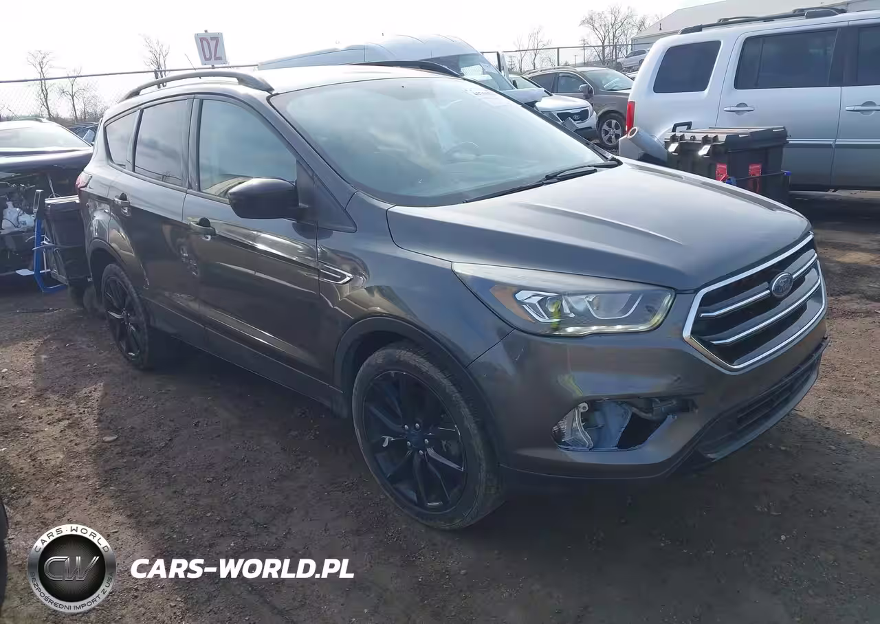2019 Ford Escape Se