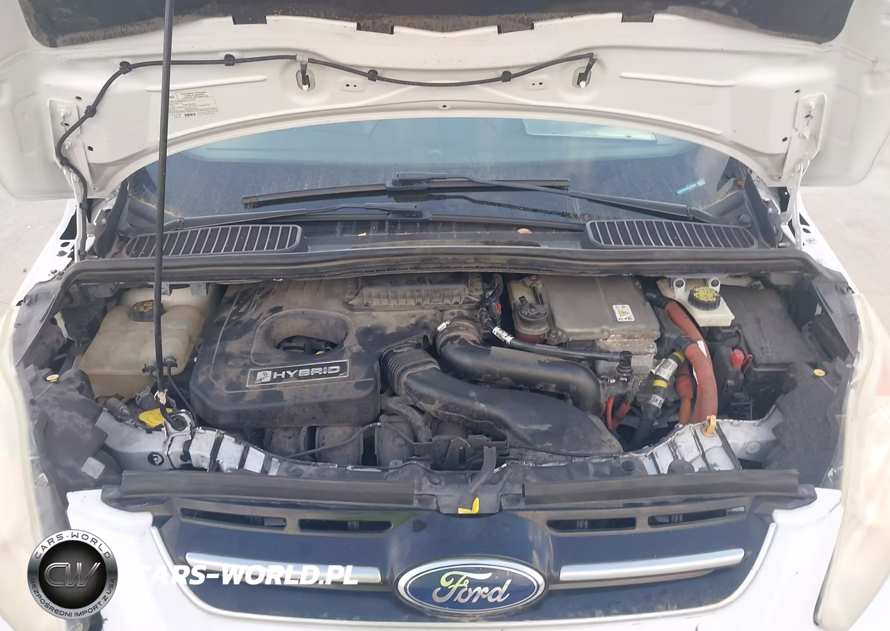 2015 Ford C-Max Hybrid Se VIN:1FADP5AU0FL118400 - 10