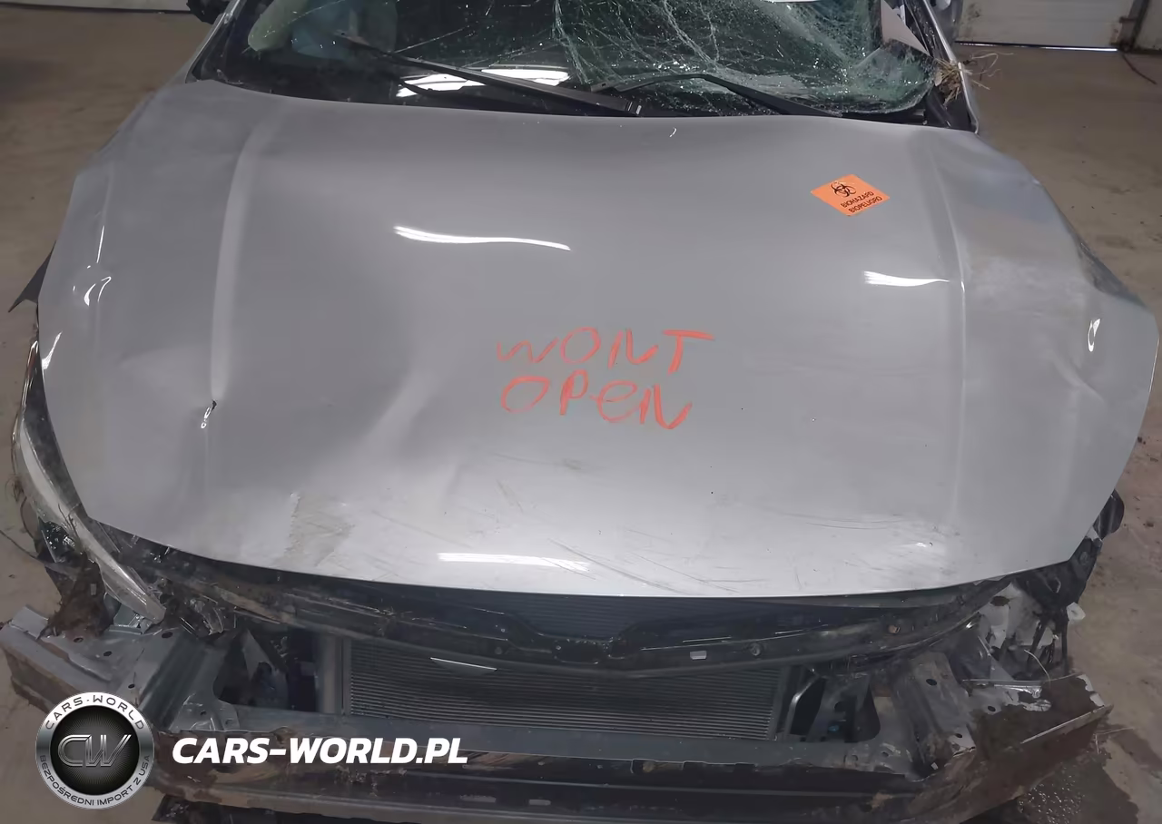 2019 Subaru Crosstrek 2.0I Premium VIN:JF2GTAEC9KH316162 - 10