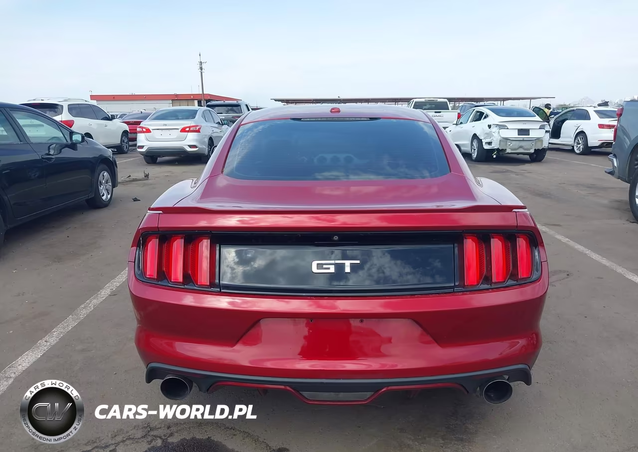 2015 Ford Mustang Gt Premium VIN:1FA6P8CF3F5358957 - 16