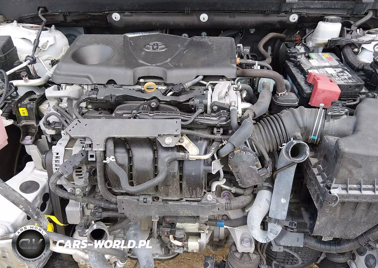2020 Toyota Rav4 Xle VIN:2T3W1RFV2LC055856 - 10
