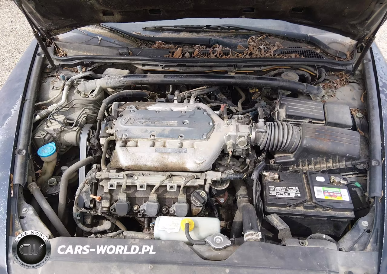 2006 Acura Tl VIN:19UUA662X6A075108 - 10