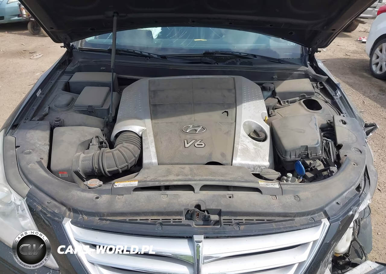 2010 Hyundai Genesis 3.8 VIN:KMHGC4DE1AU100133 - 10
