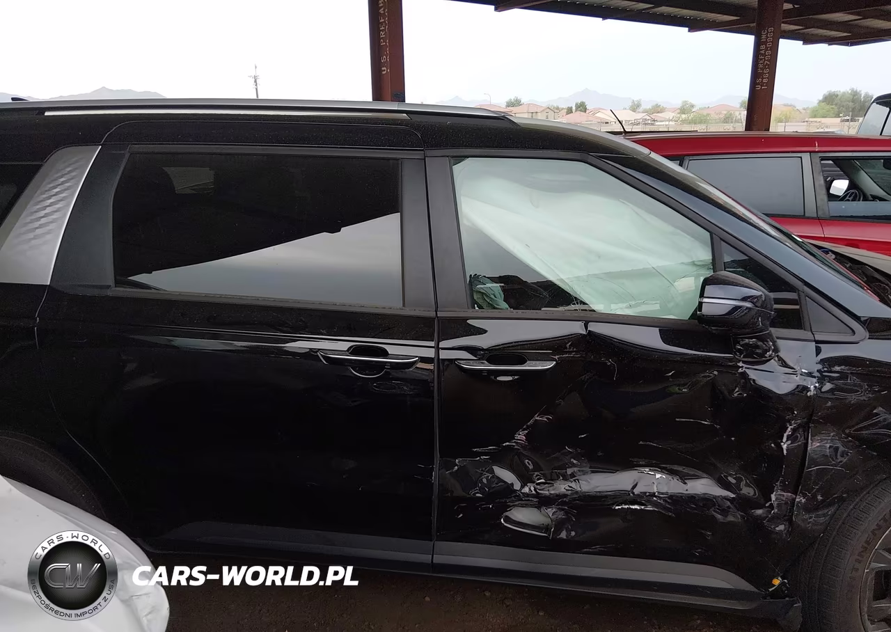 2025 Kia Carnival Mpv Hybrid Ex VIN:KNDNC5KA3S6079311 - 13