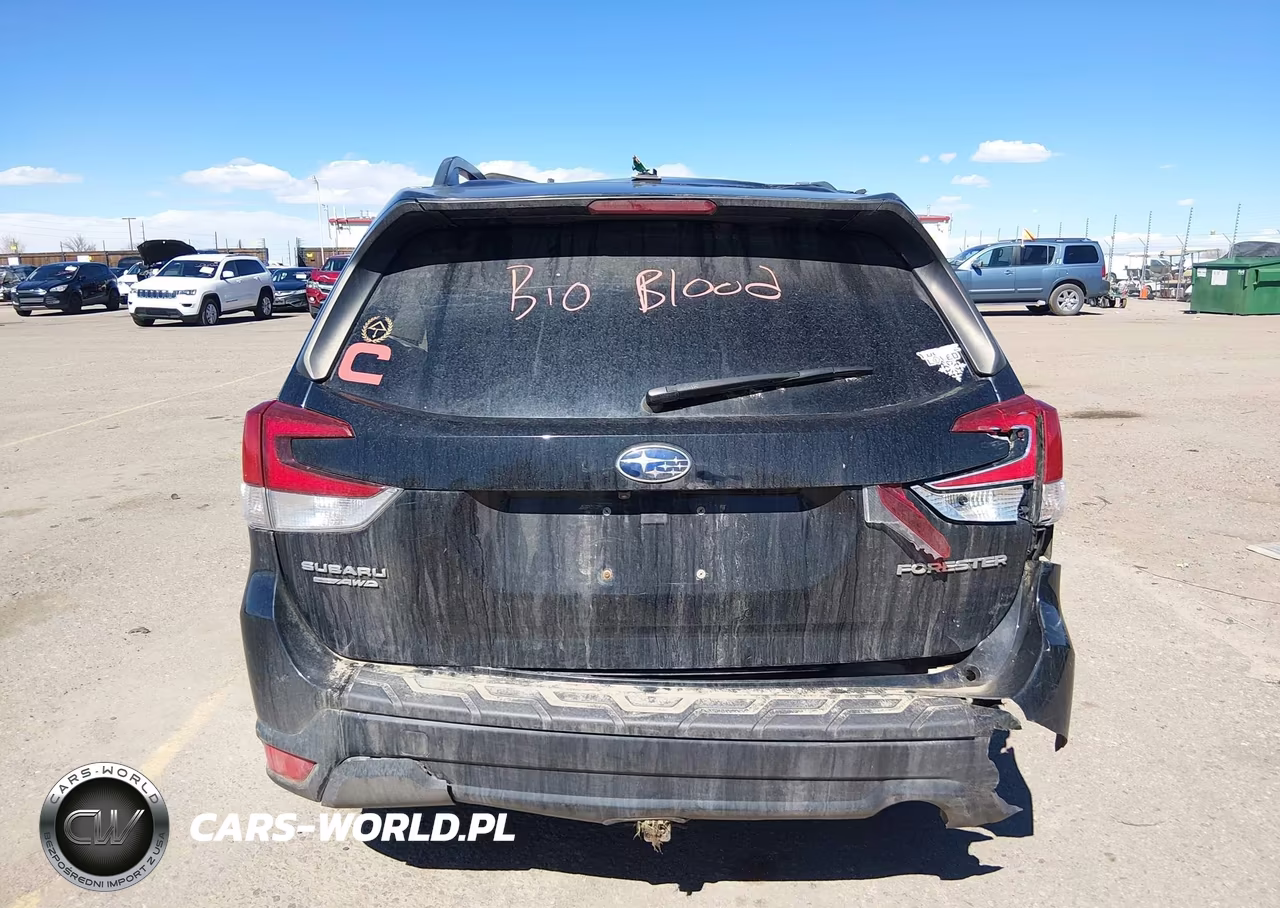 2019 Subaru Forester Premium VIN:JF2SKAGC6KH463310 - 17