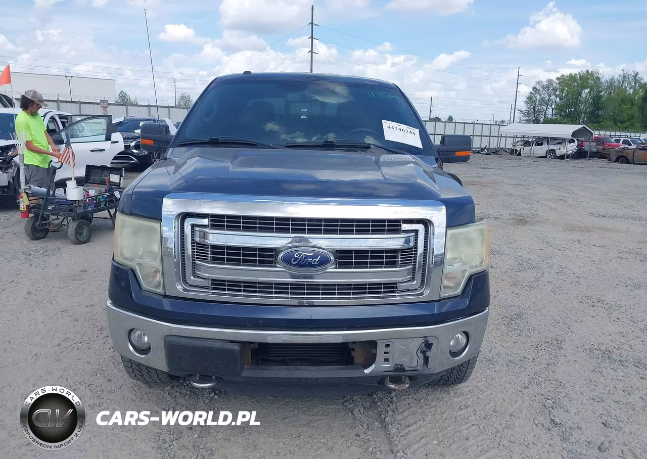 2013 Ford F-150 Xlt VIN:1FTFW1ET1DKG41394 - 13