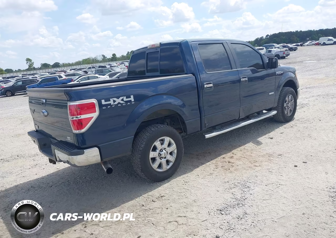 2013 Ford F-150 Xlt VIN:1FTFW1ET1DKG41394 - 4