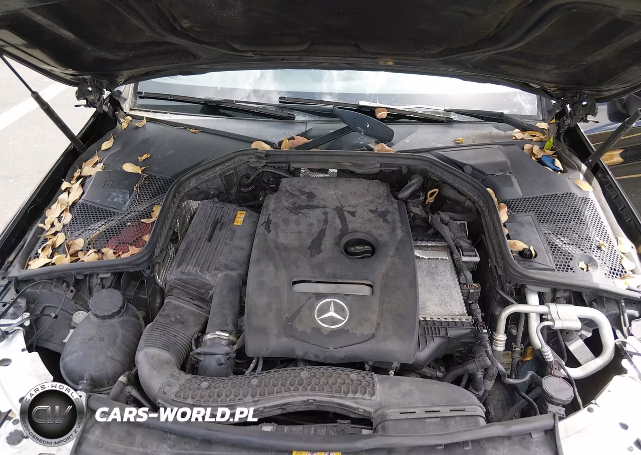 2018 Mercedes-Benz C 300 VIN:WDDWK4JB3JF747284 - 10