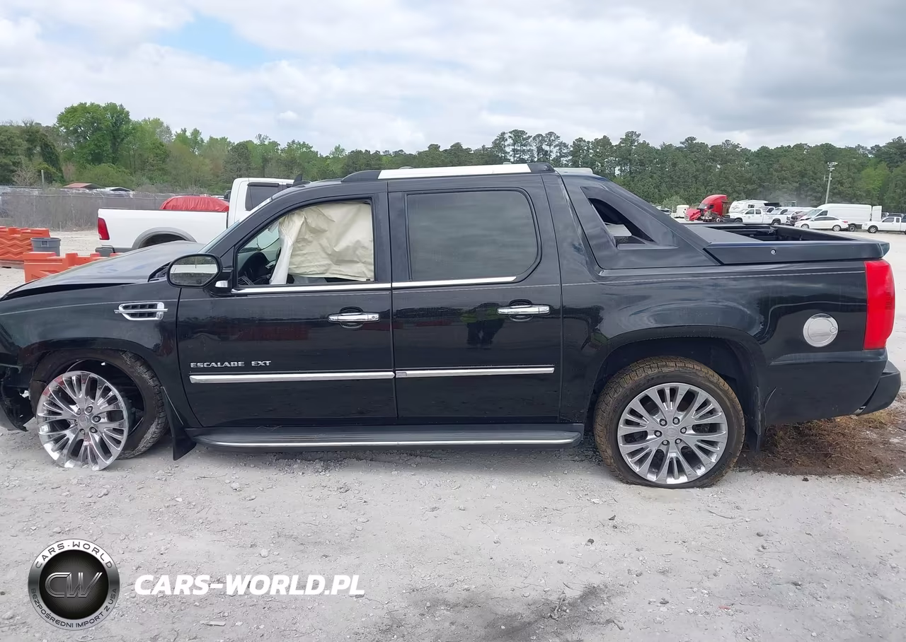 2010 Cadillac Escalade Ext Luxury VIN:3GYVKMEF6AG222313 - 13