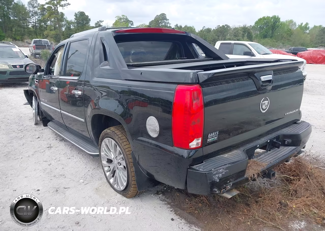 2010 Cadillac Escalade Ext Luxury VIN:3GYVKMEF6AG222313 - 3