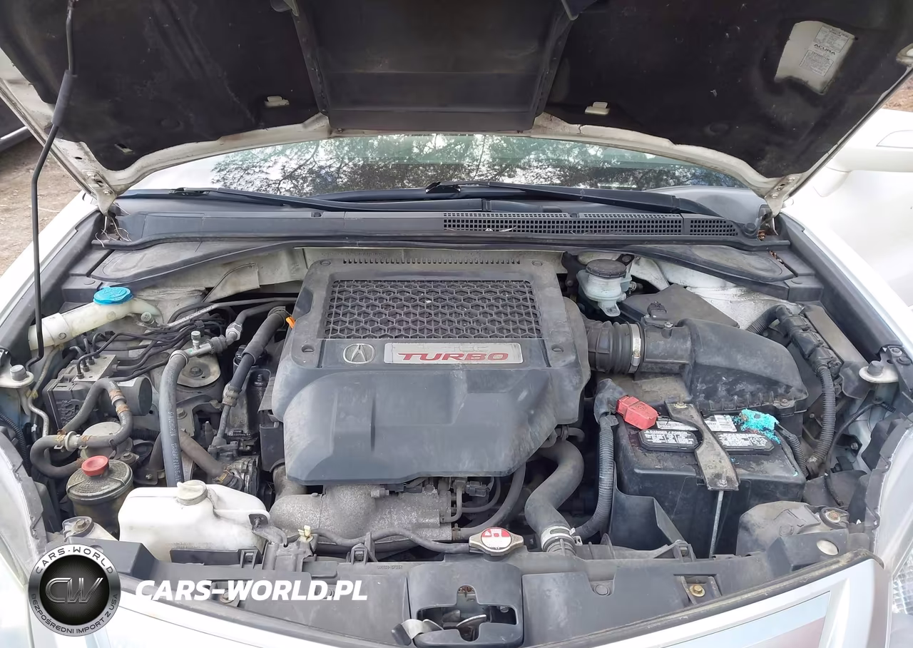 2010 Acura Rdx VIN:5J8TB2H50AA004839 - 10