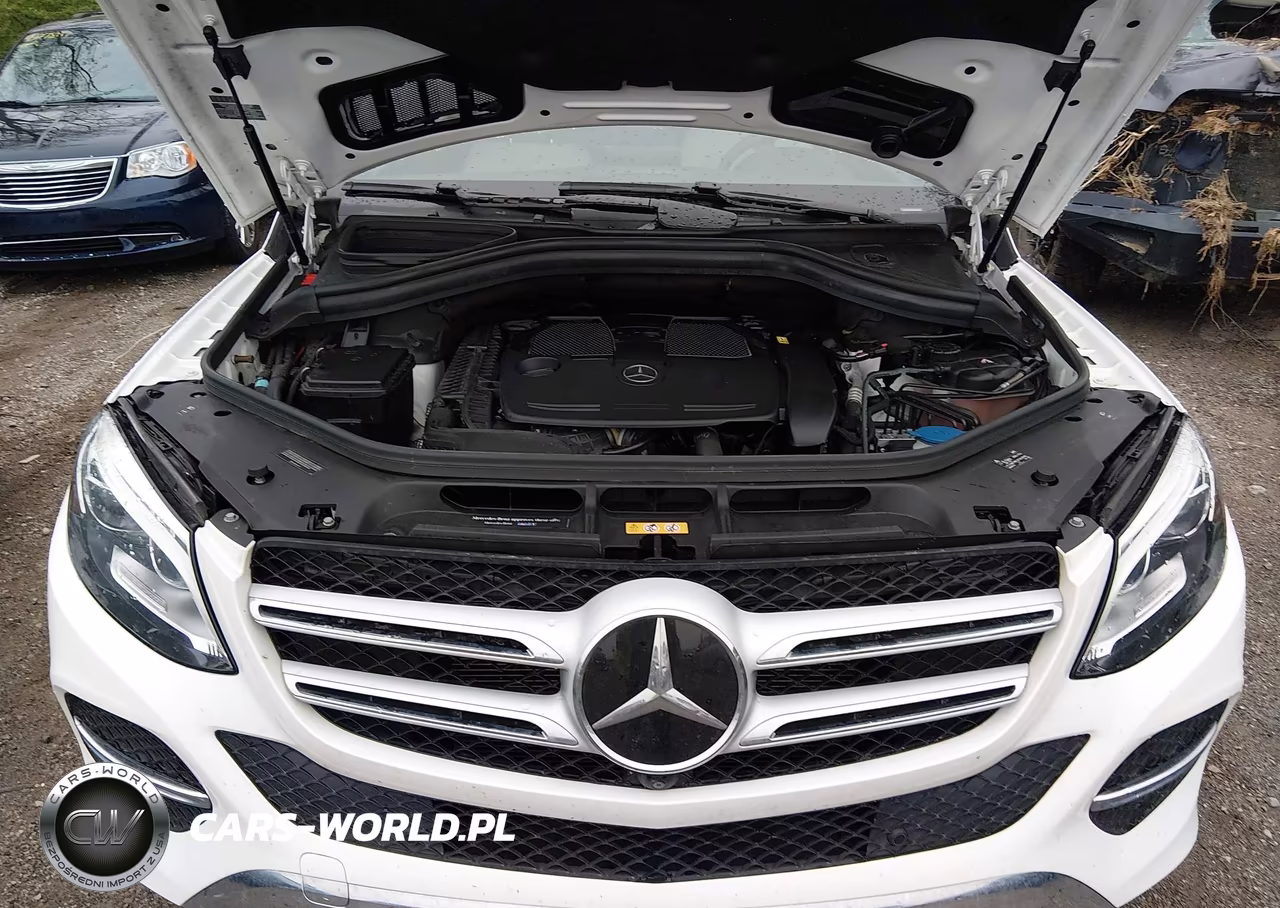 2017 Mercedes-Benz Gle 350 4Matic VIN:4JGDA5HB5HA894080 - 10