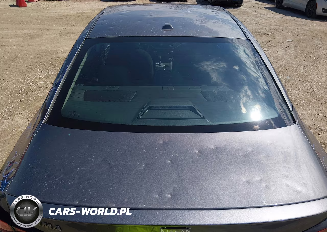 2025 Nissan Altima Sv Fwd VIN:1N4BL4DV0SN412282 - 19