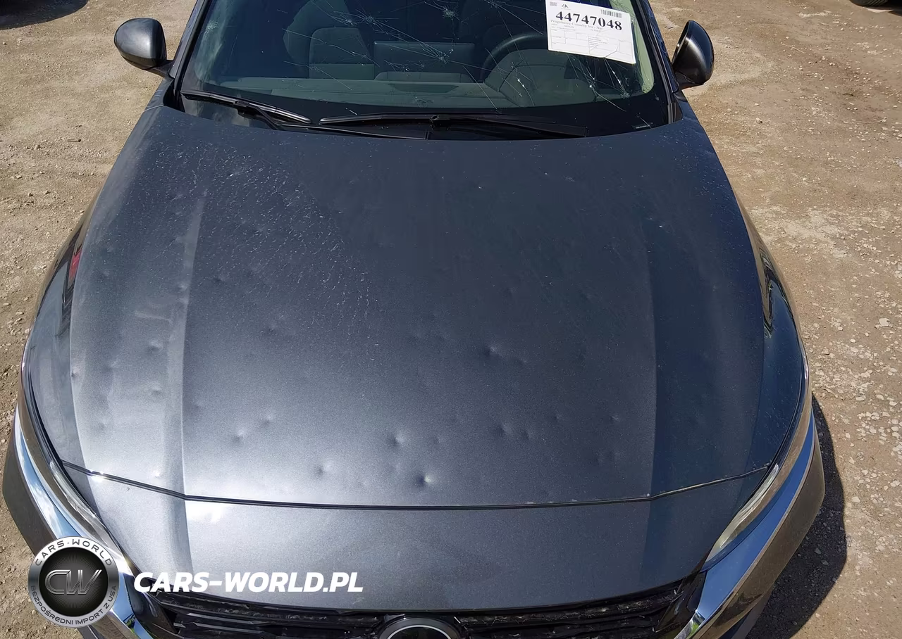 2025 Nissan Altima Sv Fwd VIN:1N4BL4DV0SN412282 - 6