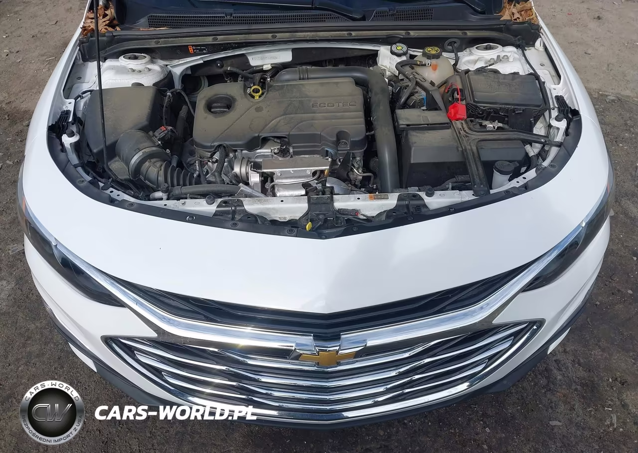 2023 Chevrolet Malibu Fwd 1Fl VIN:1G1ZC5ST1PF127603 - 10