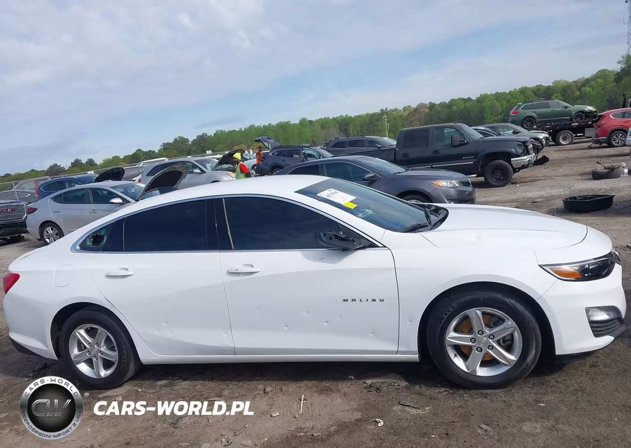 2023 Chevrolet Malibu Fwd 1Fl VIN:1G1ZC5ST1PF127603 - 13