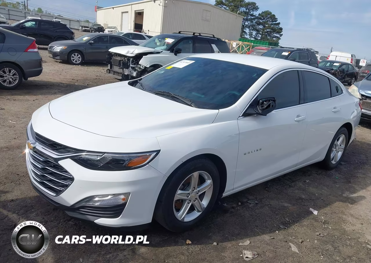 2023 Chevrolet Malibu Fwd 1Fl VIN:1G1ZC5ST1PF127603 - 2