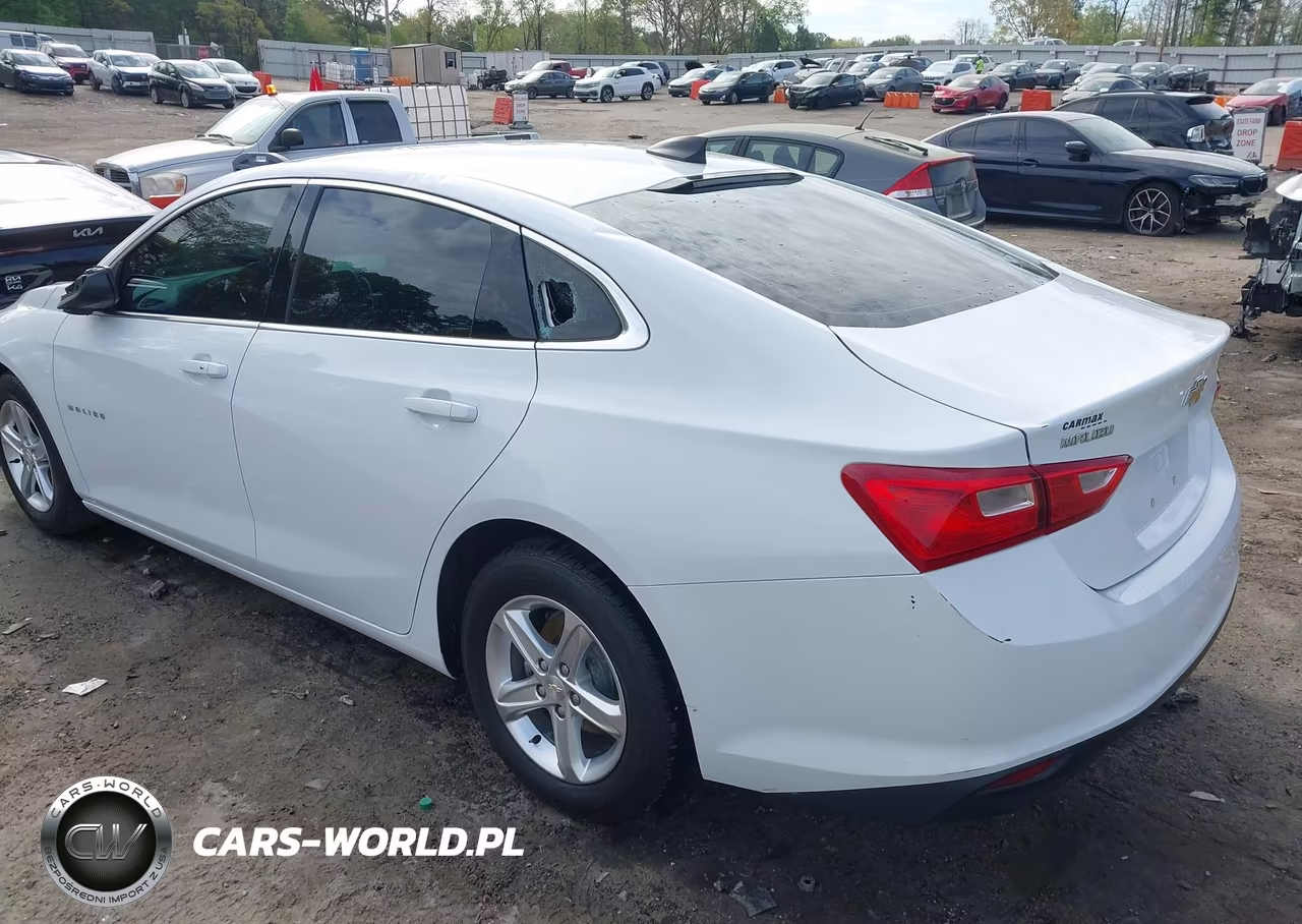 2023 Chevrolet Malibu Fwd 1Fl VIN:1G1ZC5ST1PF127603 - 3