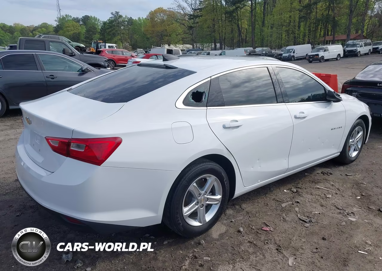 2023 Chevrolet Malibu Fwd 1Fl VIN:1G1ZC5ST1PF127603 - 4