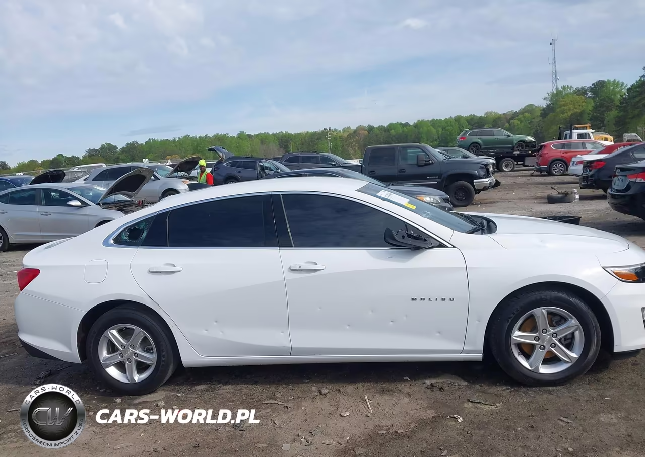 2023 Chevrolet Malibu Fwd 1Fl VIN:1G1ZC5ST1PF127603 - 6