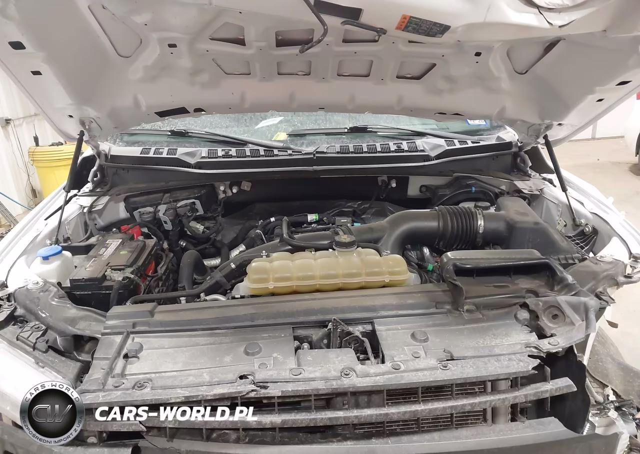 2020 Ford F-150 Xl VIN:1FTEW1EP8LKE45790 - 10
