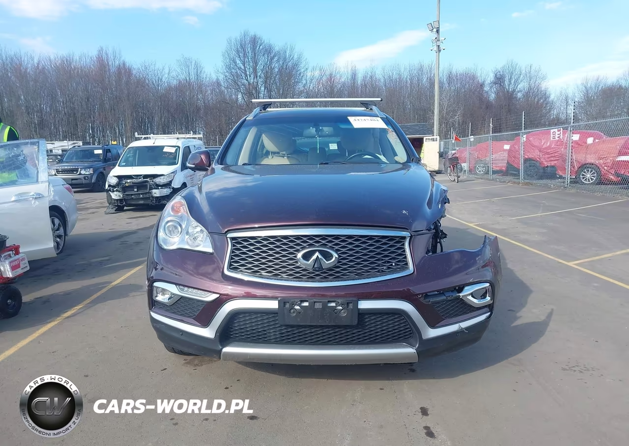 2016 Infiniti Qx50 VIN:JN1BJ0RR0GM271301 - 13