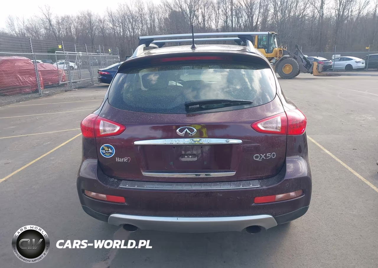 2016 Infiniti Qx50 VIN:JN1BJ0RR0GM271301 - 17