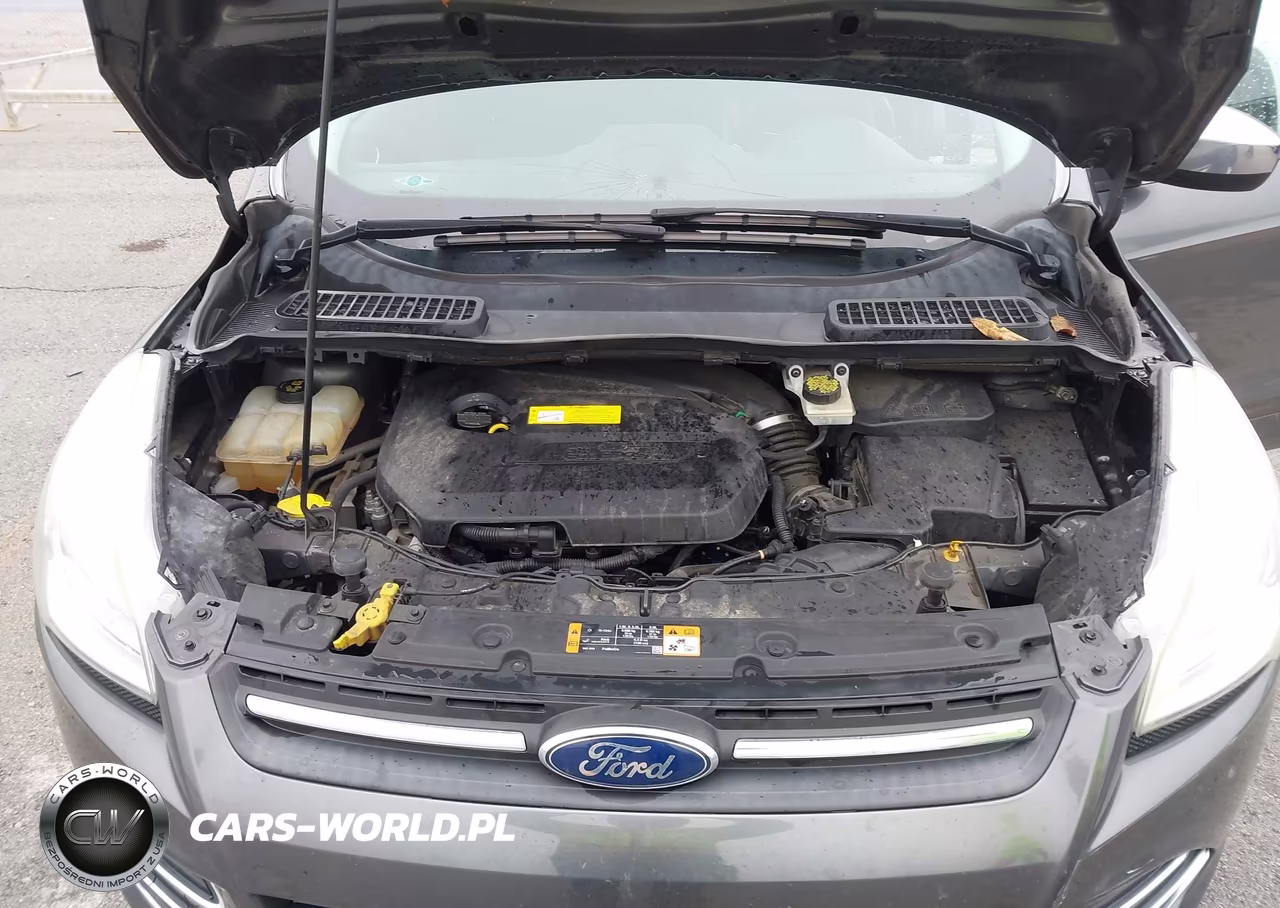 2015 Ford Escape Se VIN:1FMCU9GX2FUC88495 - 10