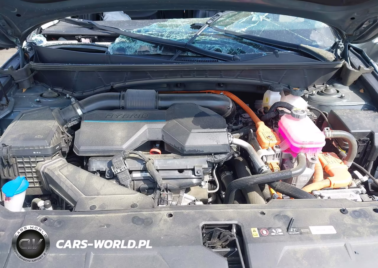 2024 Hyundai Tucson Hybrid Limited VIN:KM8JECD11RU186353 - 10