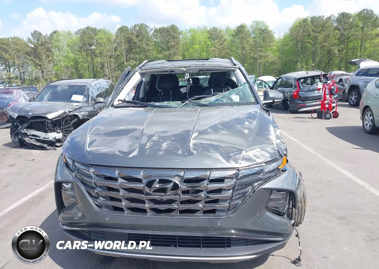 2024 Hyundai Tucson Hybrid Limited VIN:KM8JECD11RU186353 - 12