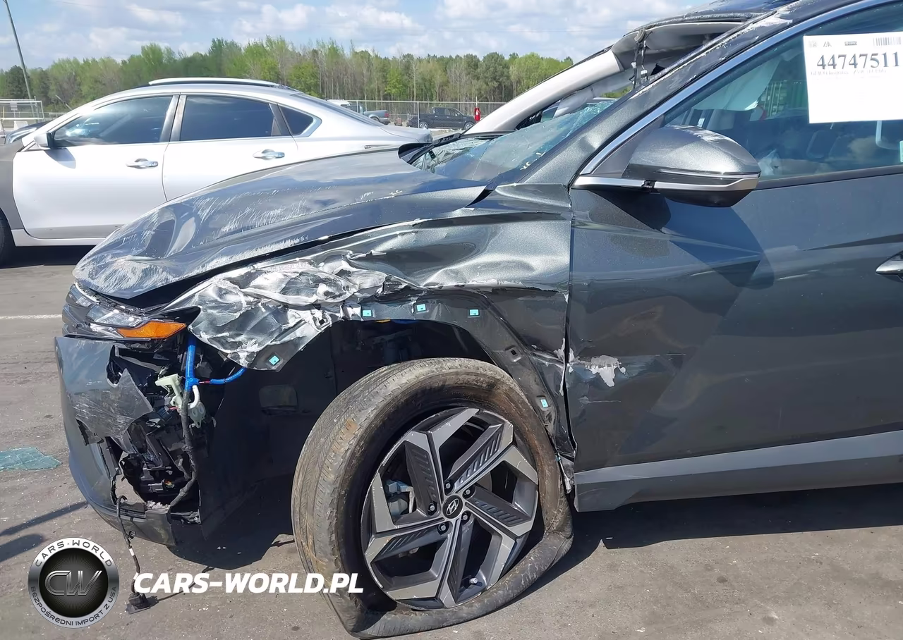 2024 Hyundai Tucson Hybrid Limited VIN:KM8JECD11RU186353 - 6