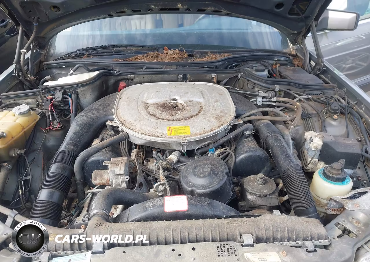 1988 Mercedes-Benz 560 Sel VIN:WDBCA39D7JA390204 - 10