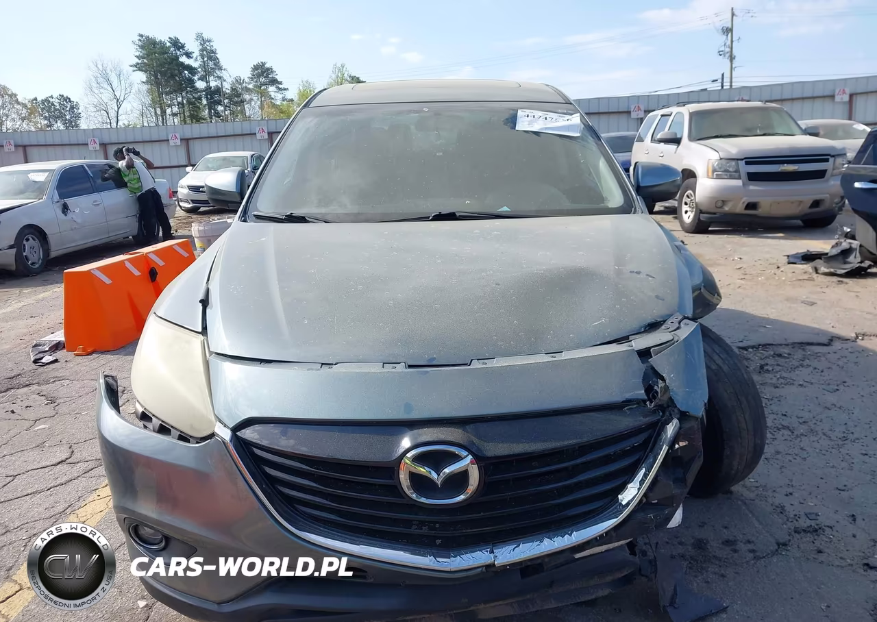 2013 Mazda Cx-9 Touring VIN:JM3TB3CVXD0408969 - 12