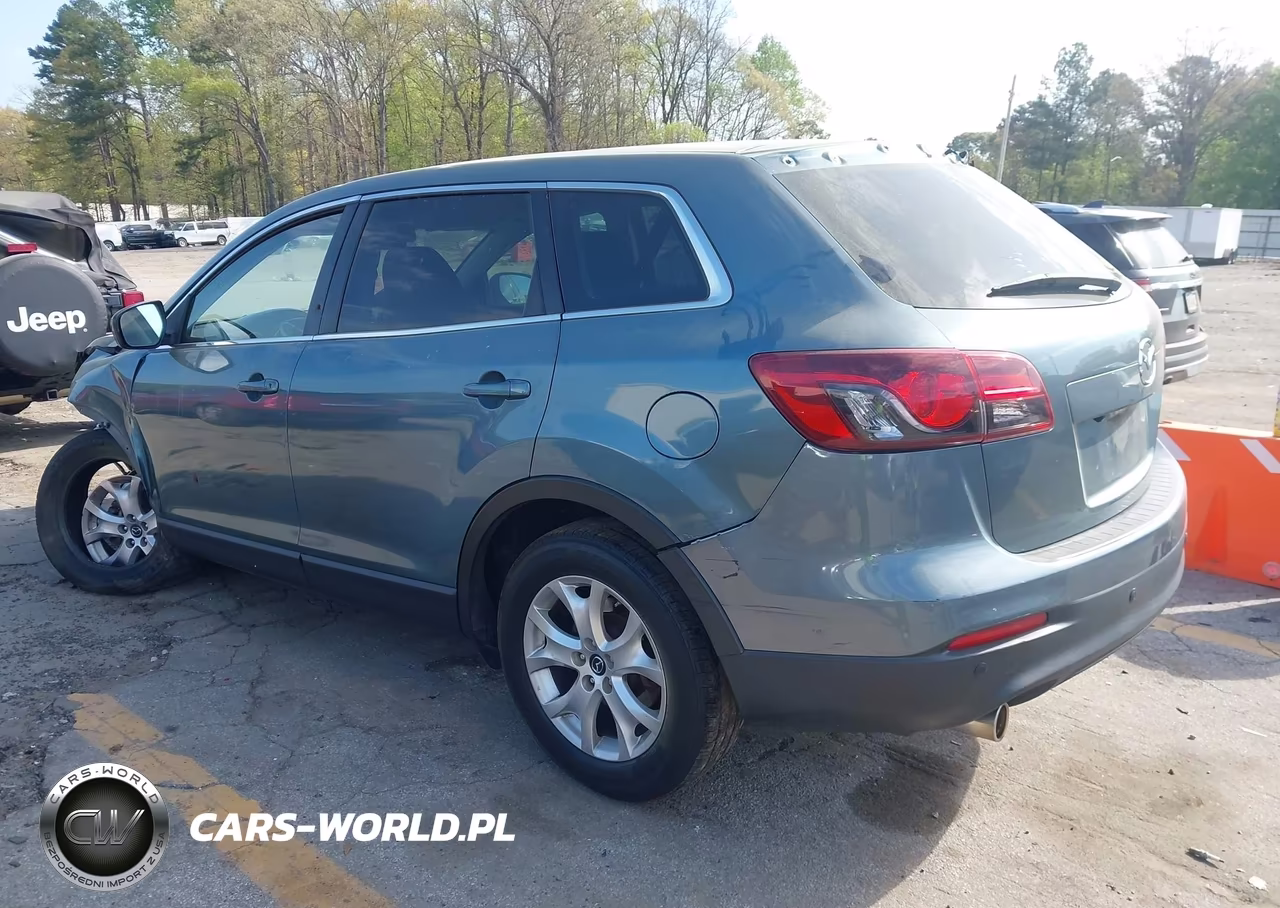 2013 Mazda Cx-9 Touring VIN:JM3TB3CVXD0408969 - 3