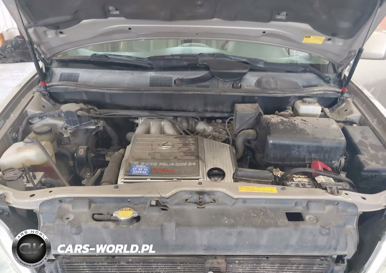 2001 Lexus Rx 300 VIN:JTJHF10UX10218424 - 10