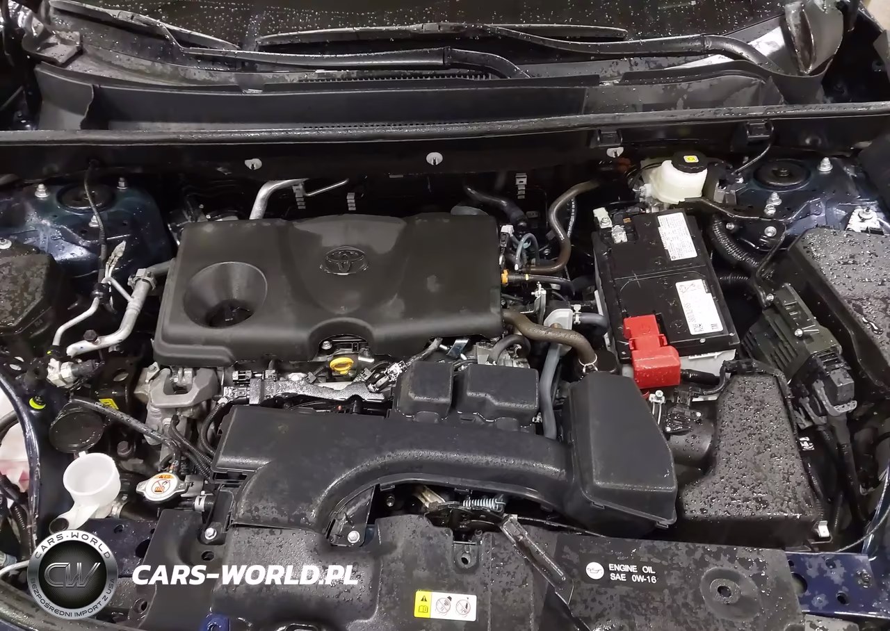 2025 Toyota Rav4 Xle Premium VIN:2T3A1RFV1SW563064 - 10