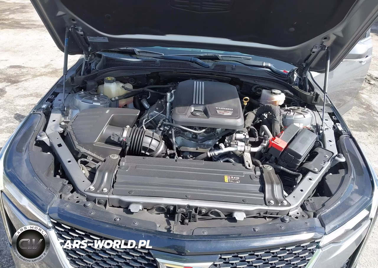 2022 Cadillac Ct4 Luxury VIN:1G6DJ5RK8N0124723 - 10