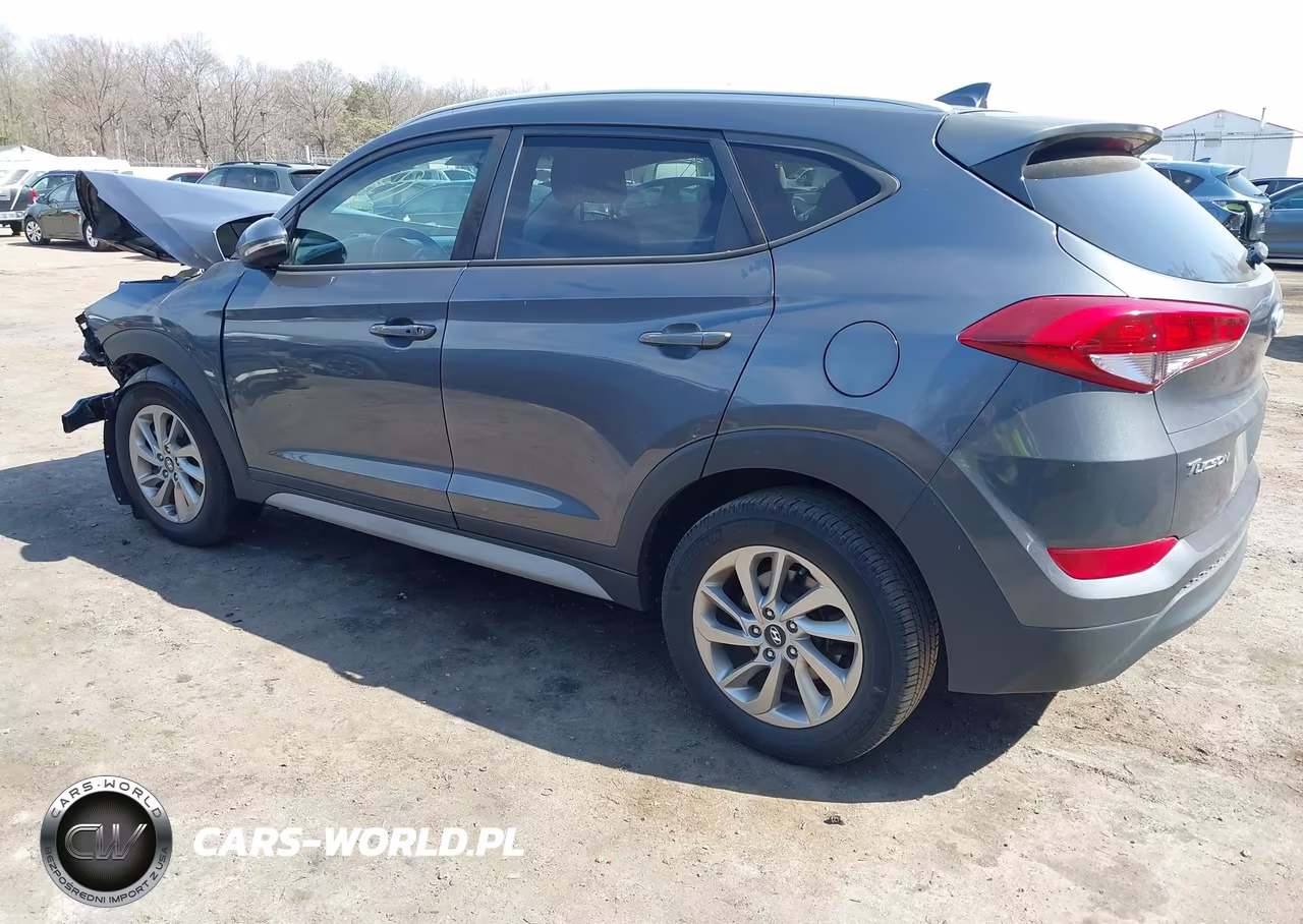 2017 Hyundai Tucson Se Plus VIN:KM8J3CA40HU548269 - 3