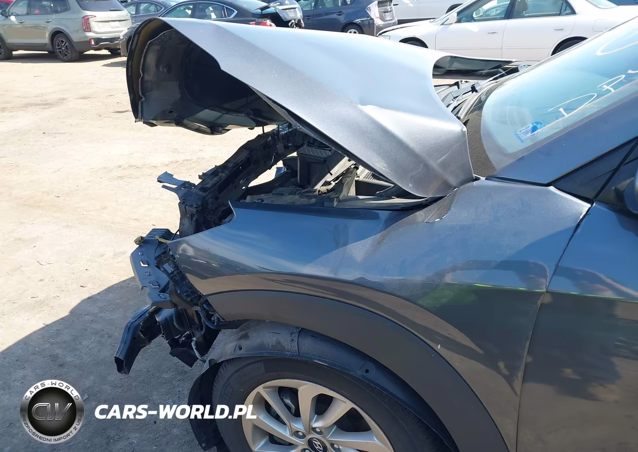 2017 Hyundai Tucson Se Plus VIN:KM8J3CA40HU548269 - 6