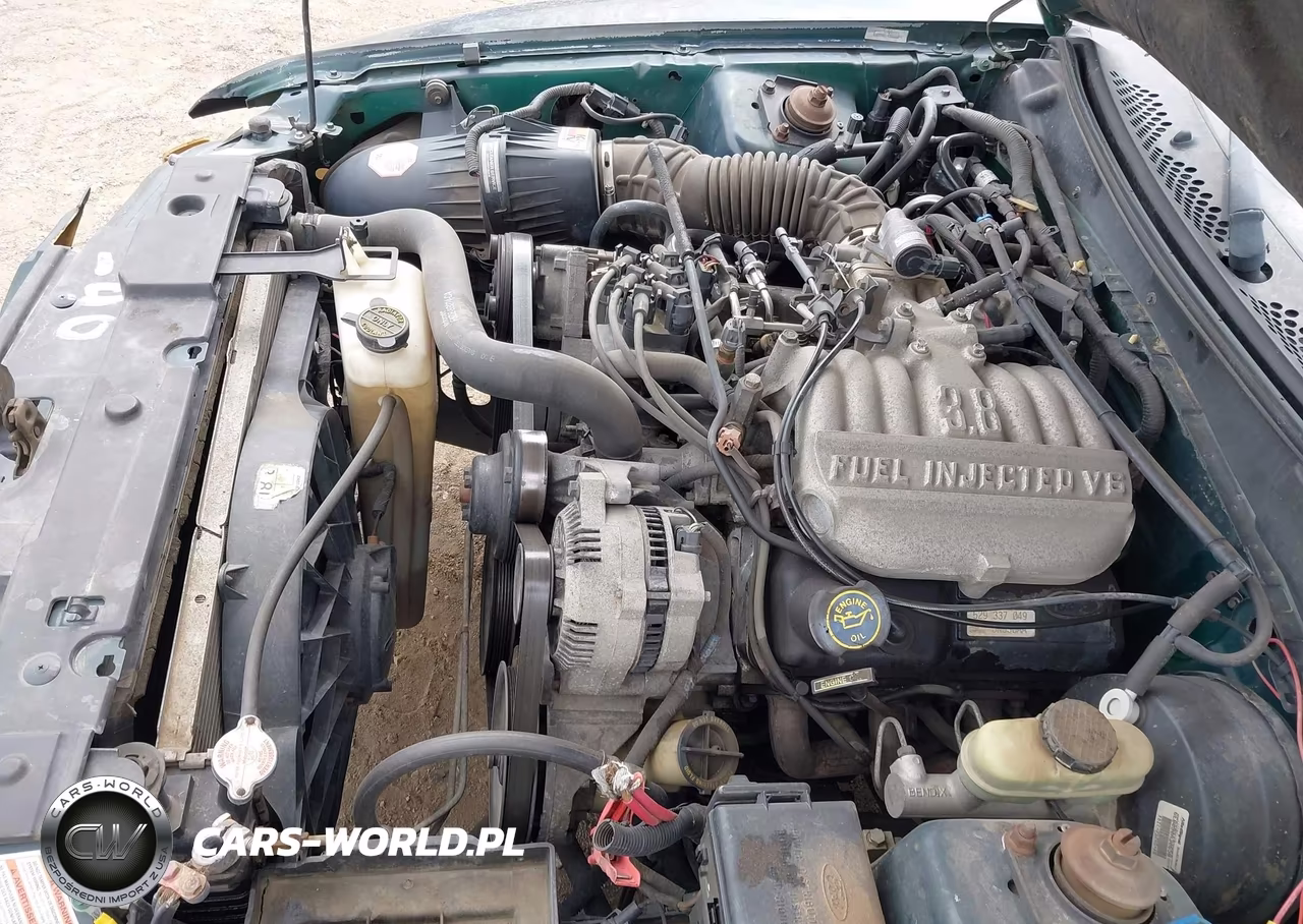 1998 Ford Mustang VIN:1FAFP4445WF200054 - 14