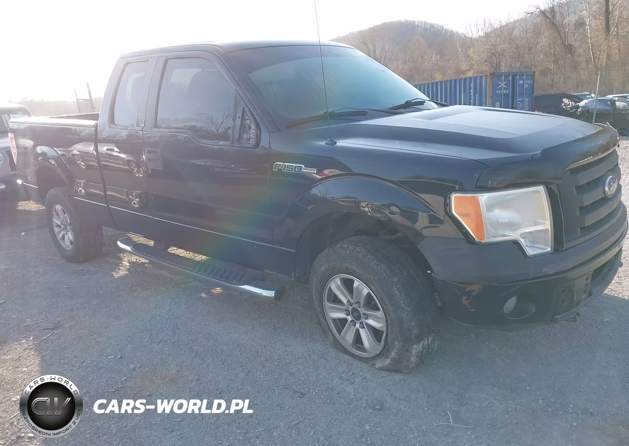 2010 Ford F-150 Stx-Xl