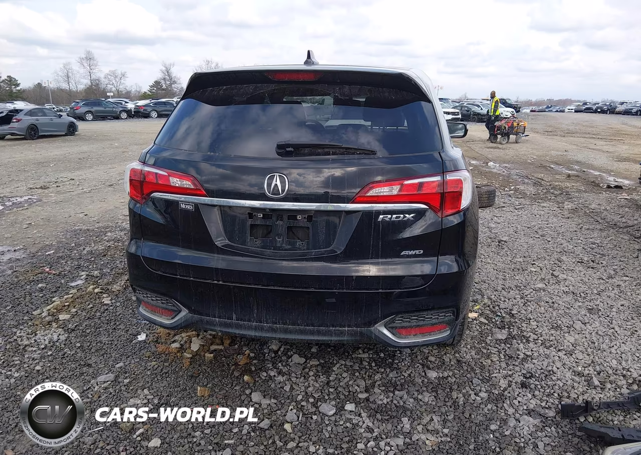2017 Acura Rdx Technology Acurawatch Plus Packages-W-Technology Package VIN:5J8TB4H54HL000304 - 17