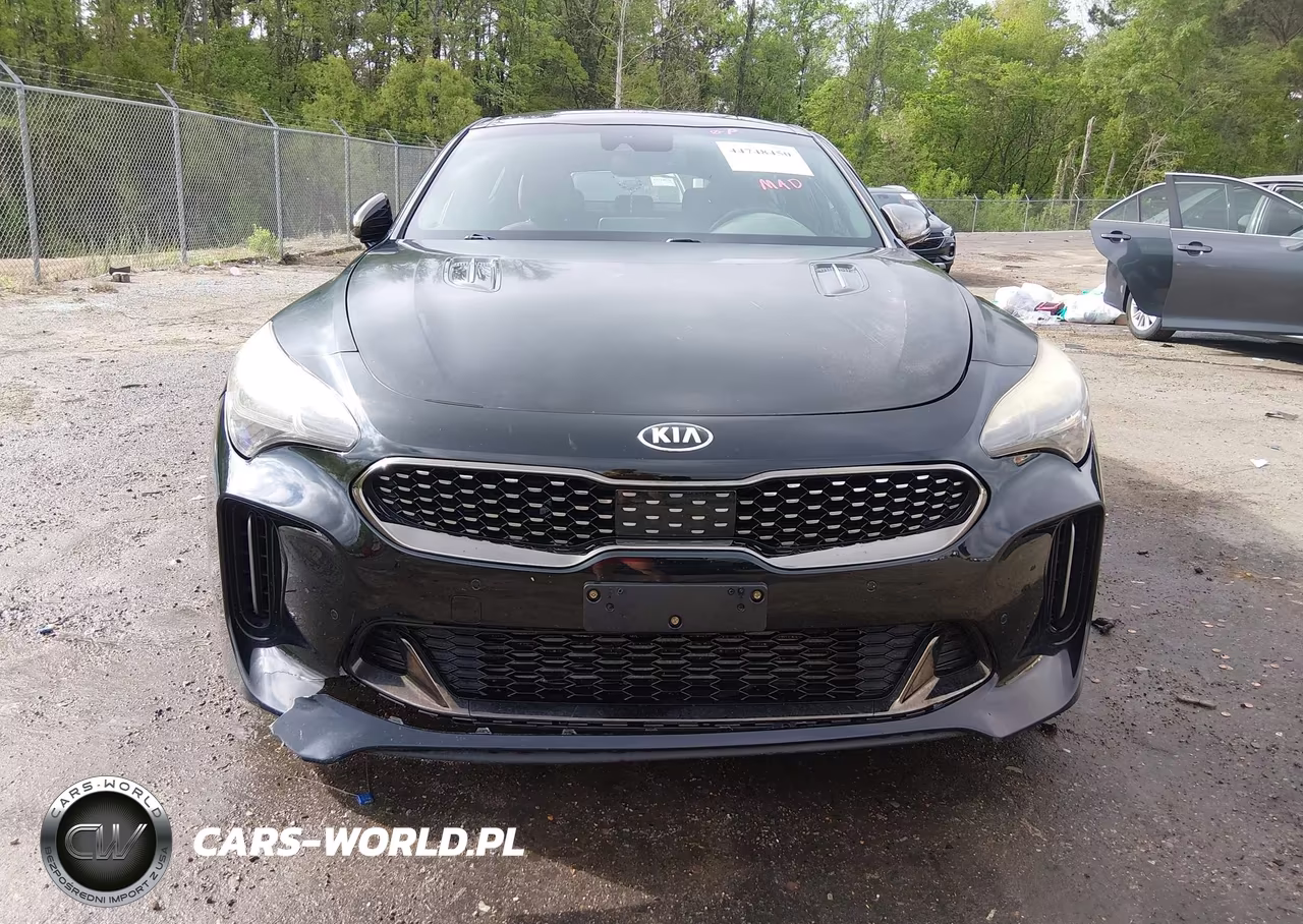 2018 Kia Stinger Gt1 VIN:KNAE45LCXJ6011547 - 12