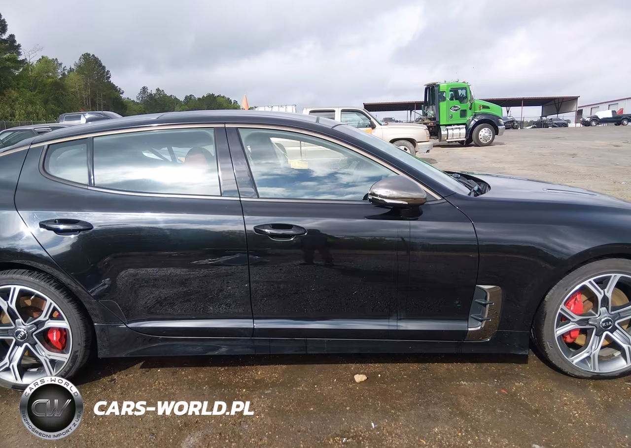 2018 Kia Stinger Gt1 VIN:KNAE45LCXJ6011547 - 13