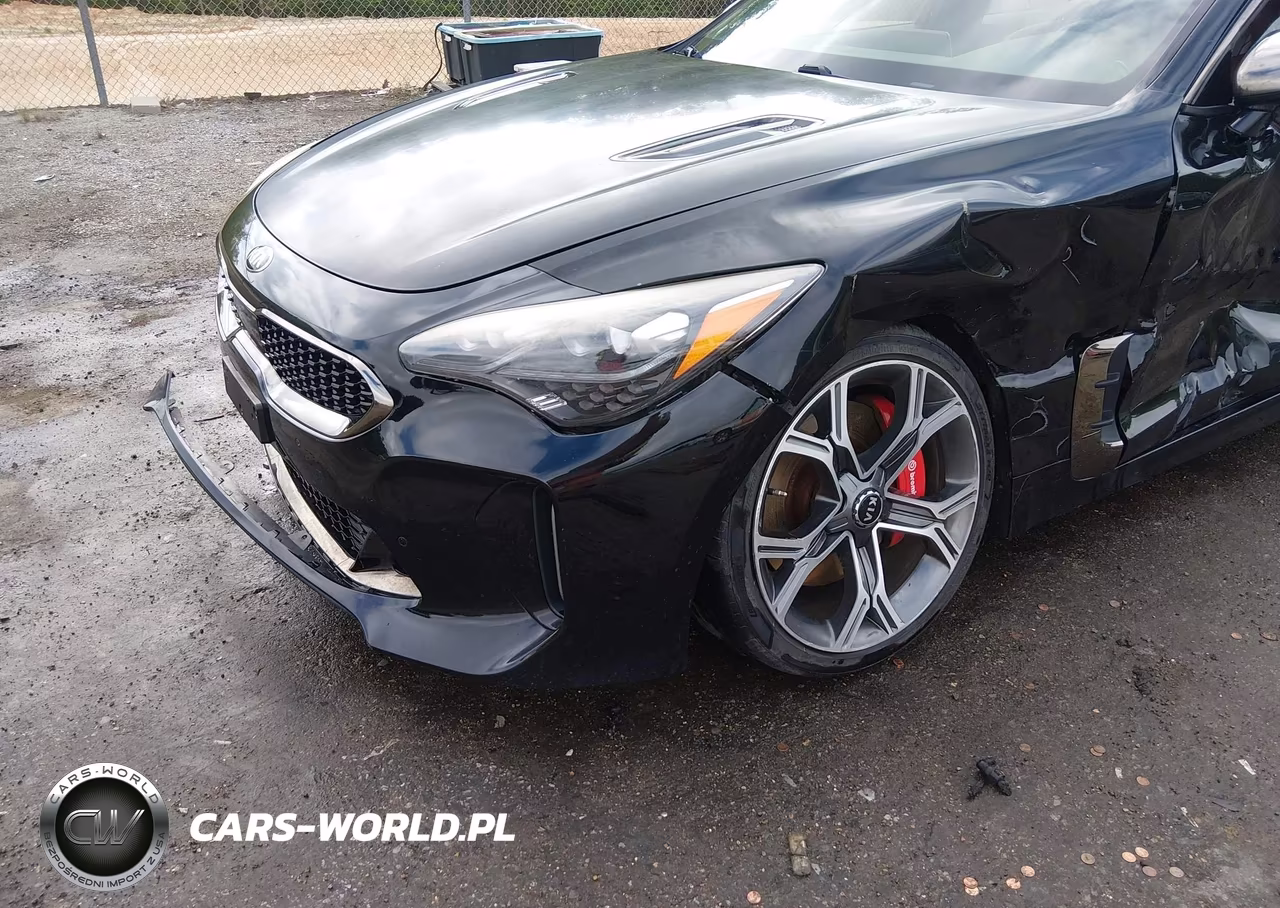 2018 Kia Stinger Gt1 VIN:KNAE45LCXJ6011547 - 17
