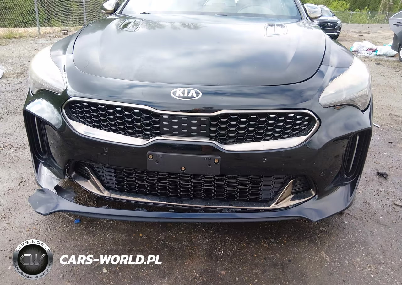 2018 Kia Stinger Gt1 VIN:KNAE45LCXJ6011547 - 18